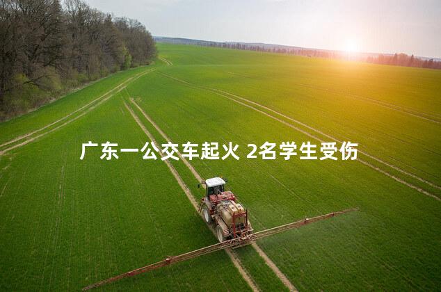 广东一公交车起火 2名学生受伤
